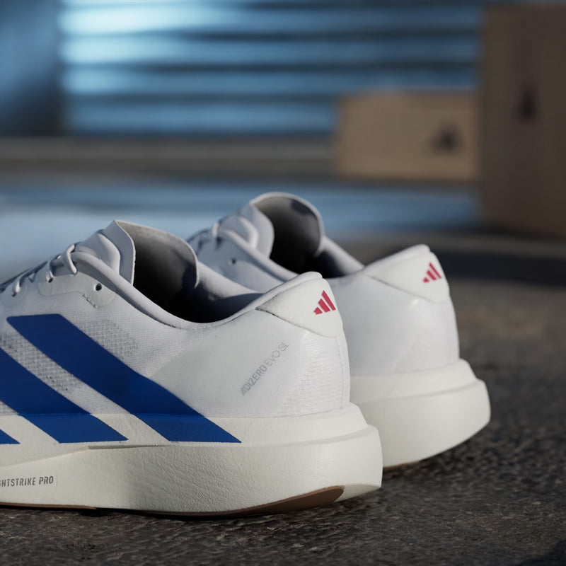 adidas Adizero Evo SL Men's Running Shoe - Cloud White/Royal Blue/Pure Ruby