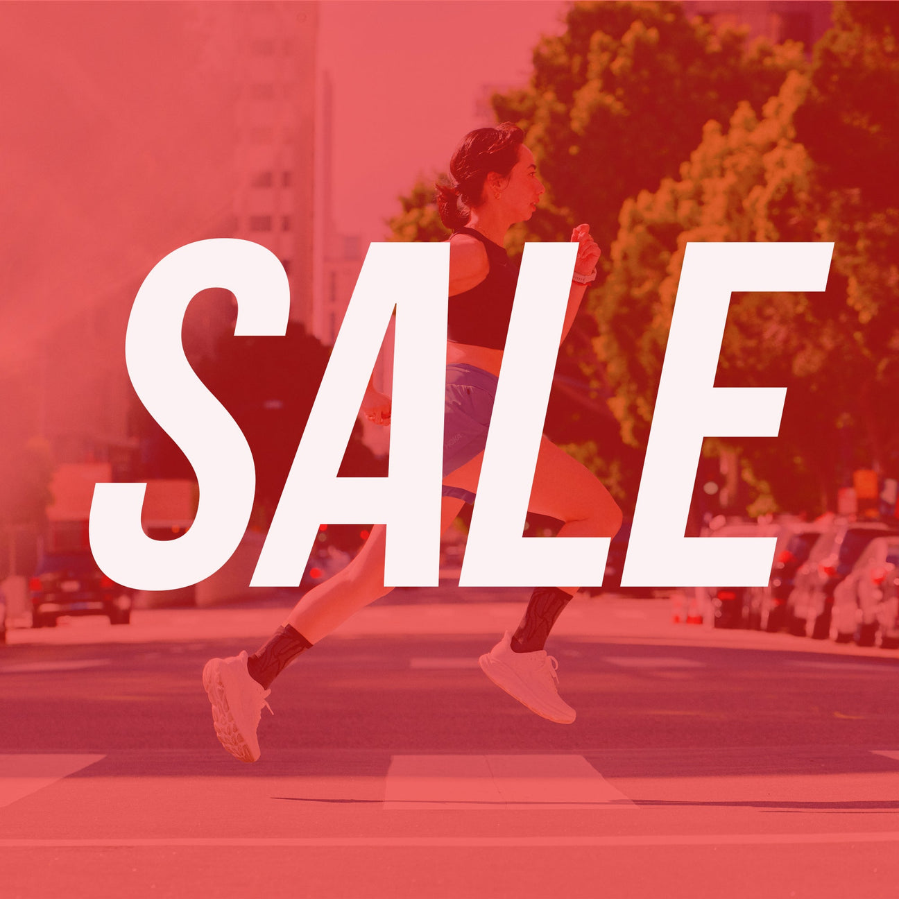 Sale - Final Reductions