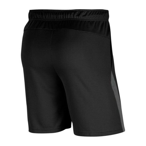 Nike Dry Men's 5inch Training Short Back